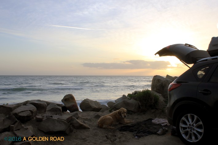 IMG_3853 copyright.jpg