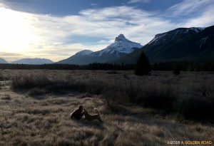 Bow Valley Parkway