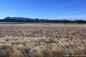Riddle Lake, Yellowstone