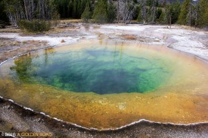 Morning Glory Pool, Yellowstone