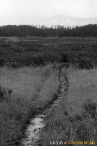 Hike through the mud