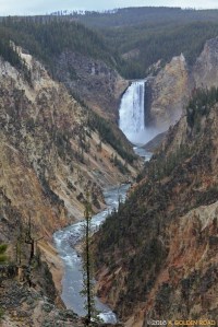 Lower Falls, Yellowstone