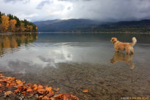 Franklin on Whitefish Lake