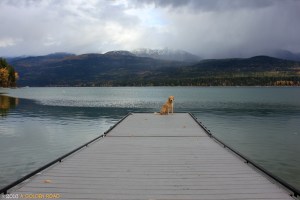 Franklin on Whitefish Lake