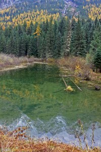 West Glacier National Park