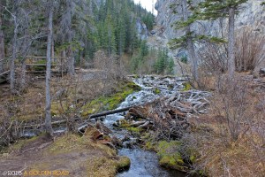 Grassi Lake Hike