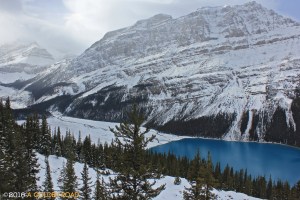 Peyto Lake