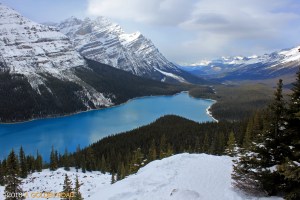 Peyto Lake