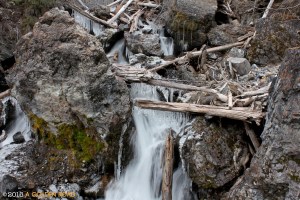 Frozen Icicles on the River